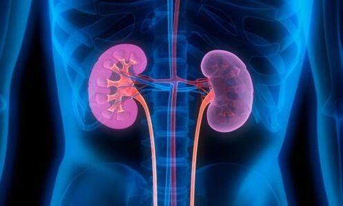 L'infection peut pénétrer les reins